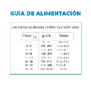 5.webp