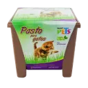 PASTO P/GATOS
